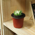 Miniatyrbilde 5 av 8: 100 STK Plante Blomsterpotter Plast Blomsterpotter Uteliv Hage Barnehage Frøplanter Pottebeholder