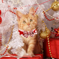 Miniatyrbild 5 av 5: Handstickat Djurhalsband, 1 ST Kattvalp Julstil Handstickad Ullhalsband Med Rutig Fluga Djurfest Dekoration Katt Mjukt Stickat Justerbart