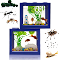 Miniatyrbild 1 av 5: Blå Liten Betafisk Tank Set - Grus Växt Akvarium med Matsten