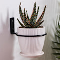 Miniatyrbilde 2 av 5: Blomsterpotteholder Veggmontert Plantestativ 4 tommer Blomsterpottehengere for Hjem Hage Innendørs Utendørs Planter