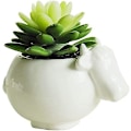 Miniatyrbilde 2 av 5: Hvit Keramisk Blomsterpotte Søt Sukkulenter Planter Simple Design Kreativ Ku Stil Liten Potte for Planter