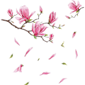 Miniatyrbild 1 av 5: Set med 2, vackra blommiga väggdekaler, vardagsrum, rosa