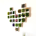 Miniatyrbilde 7 av 8: 3D Stereo Veggmonterte Simulering Plante Fotoramme Blomsterrammer Dekorasjon 38A