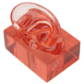 Miniatyrbild 5 av 8: Höger öronmodell transparent röd akryl robust vattentät hög simulering öronvisning modell