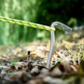 Miniatyrbilde 5 av 5: 16 stk teltplugger bakkeplugger kroker for teltcamping hagearbeid teltplugger stor galvanisert stål