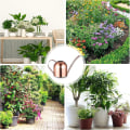Miniatyrbilde 5 av 5: Lang tut vannkanne i rustfritt stål for blomster, grønnsaker og potteplanter
