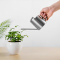 Miniatyrbillede 8 af 8: 300 ml rustfrit stålkanden med lang tud til vanding af stueplanter og bonsai