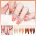 Miniatyrbillede 4 af 5: Gradient Pink Magic Mirror Nail Art Powder - 17 farver B