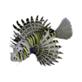Miniatyrbillede 4 af 5: Kunstig Dragefisk Lysende Undervands Ornament Flydende til Akvarium