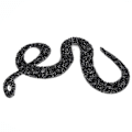 Miniatyrbild 1 av 8: SnakE-formade strass Trim Band Mesh Wrap Roll DIY Klädtillbehör Applikation (svart)