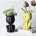 Miniatyrbild 4 av 4: Nordic Style Black Face Blomkruka Succulent Planter