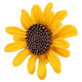 Miniatyrbild 5 av 8: Söt solros brosch Elegant legering kvinnor Lapel Pin Kläder Samlokalisering Tillbehör för ryggsäck kostym