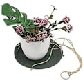 Pikkukuva 5 / 5: Nahkainen riippuva kukkaruukku - Sisä- ja ulkokäyttöön - 31 cm / 15 cm, valkoinen