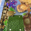 Miniatyrbillede 3 af 5: Græsskildpaddebaskeplatform til skildpaddetank og krybdyr (stor)