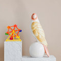 Miniatyrbild 5 av 5: 2 st Solsken Läcker Foder Sökande Undulat Mönster Mat Kakadua Leksak Träning