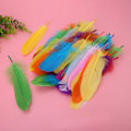 Miniatyrbillede 7 af 8: 100 stk. farvede fjer DIY materiale pasta dekoration børn børnehave håndværk håndlavede kunstforsyninger