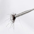 Miniatyrbillede 3 af 8: Robust og pålidelig multitand-rørrenser på 60 cm til køkken og badeværelse
