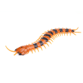 Miniatyrbilde 8 av 8: 1PC Infrarød fjernkontroll Fake Tusenbein Scolopendra RC Toy