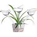 Miniatyrbillede 1 af 5: Sæt med 6 glasvandingskugler med fugleformede automatiske vandingsspidser til indendørs og udendørs planter, fremstillet af PVC, ingen lækage