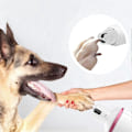 Miniatyrbillede 2 af 5: Neglesliber, negleklipper til katte og hunde, elektrisk kæledyrsmanicure ZD B2 EE pink