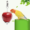 Miniatyrbild 2 av 3: 2 st Fågelvattenautomat Fågelmatshållare Fågelmatare Rostfritt Stål Papegoja Frukt Grönsakssticka Hållare Foderleksak