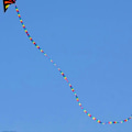 Miniatyrbillede 5 af 5: 49 ft Regnbue Dragehale 15m Lang Farverig Bånd Drage Tilbehør