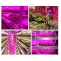 Miniatyrbillede 3 af 5: Smart vandtæt LED Grow Light System, 1 meter