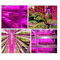 Pikkukuva 3 / 5: Älykäs vedenpitävä LED Grow Light System, 1 metri