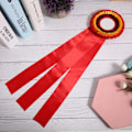 Miniatyrbillede 6 af 8: Førsteplads Rosette Bånd Badge Ekstraordinær Lille Vinder Medalje Pris Trofæ