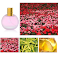 Miniatyrbild 3 av 5: 50ml Toilette Spray Långvarig Blomdoft Frostad Flaska Kroppsparfym för kvinnor Rose