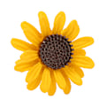 Miniatyrbild 7 av 8: Söt solros brosch Elegant legering kvinnor Lapel Pin Kläder Samlokalisering Tillbehör för ryggsäck kostym