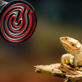 Miniatyrbild 3 av 6: Infraröd Keramisk Husdjursvärmare Lampa - 100W Reptil Glödlampa 100W