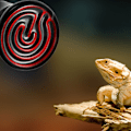 Pikkukuva 3 / 6: Infrapunakeraaminen lemmikkilämpölamppu - 100 W Reptile-lamppu 100W