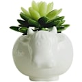 Miniatyrbilde 1 av 5: Hvit Keramisk Blomsterpotte Søt Sukkulenter Planter Simple Design Kreativ Ku Stil Liten Potte for Planter