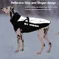 Miniatyrbillede 5 af 5: Vandtæt reflekterende vinterfrakke til hunde med justerbar vest til små til mellemstore hunde (3XL, sølv)