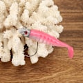 Miniatyrbilde 5 av 8: 2PCS PVC Jighead krok Vinter Isfiske Lokk Kunstig Myk Simulering Agnsverktøy Tilbehør1#