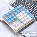 Miniatyrbild 1 av 5: 33 Tangenter Trådbundet Mekaniskt Numeriskt Tangentbord med Flerfärgade Lampor Lämpligt för Bärbar Dator Numeriskt Tangentbord, , Blå Brytare