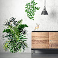 Miniatyrbilde 1 av 5: Grønne Plante Veggklistremerker Nordiske Tropiske Planter Monstera Blader Hage Små Friske Hjemmedekorasjoner
