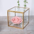 Miniatyrbillede 6 af 8: Guldkantet geometrisk glasplanteplanter til sukkulenter - Dekoration til hjemmet og haven