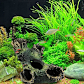 Miniatyrbillede 4 af 4: Akvarietræstamme Dekorationer 3 Dele Resin Hul Træstamme Ornamenter Hule Klippe Dekorationer til
