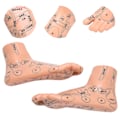 Miniatyrbillede 8 af 8: 2 stk 19 cm / 7,5 tommer fod akupunktsmodel Akupunktur undervisningshjælpemidler Fodmodel