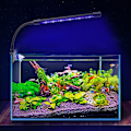 Miniatyrbillede 7 af 8: 7W LED Fish Tank Bar Light Aquarium Vandplanter Dæmpbar Grow Lamp