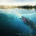 Miniatyrbilde 4 av 8: Myk PVC lysende kunstig naturtro blekksprut fiske lokke agn Swimbait (10 stk 6,5 cm)