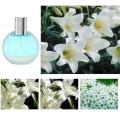 Miniatyrbillede 2 af 5: 50ml Toilette Spray Langvarig Flower Duft Frosted Bottle Body Parfume til Kvinder Lily