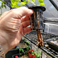 Miniatyrbillede 2 af 5: 1,77 tommer netkopper - 100 pakke | Hydroponisk plantebakke