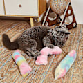 Miniatyrbild 5 av 5: Katt Strip Kudde Kattleksak Kattungeleksak Med Kattmynta För Katt Tandlossning Tugga Zekai ViolettRosaBlandning