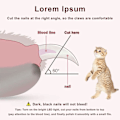 Miniatyrbilde 2 av 5: PCPinkPet LED lys negleklipper - Profesjonell kjæledyrklotrimmer med sprutbeskyttelse for små og mellomstore kjæledyr