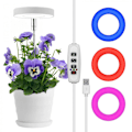 Miniatyrbild 1 av 5: Växtlampa LED för Inomhusväxter, Höjdjusterbar Växtlampa med Automatisk På/Av Timer för Små Växter ZD B2 A
