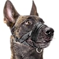 Miniatyrbilde 1 av 5: 2025 Ny Hundekurv Nylon Myk Polstring, Justerbar Løkke, Svart
