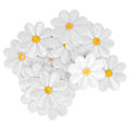 Miniatyrbillede 4 af 8: 40 stk. broderiklæbestof mønster Daisy stryge patches DIY rygsæk tøj tilbehør